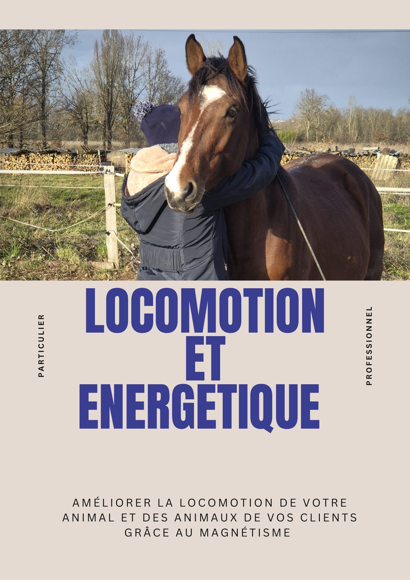 couverture livre e-book sur la formation en magnétisme equin et locomotion/posture