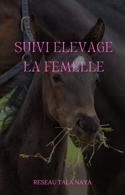 couverture livre e-book sur la formation en magnétisme equin et reproduction