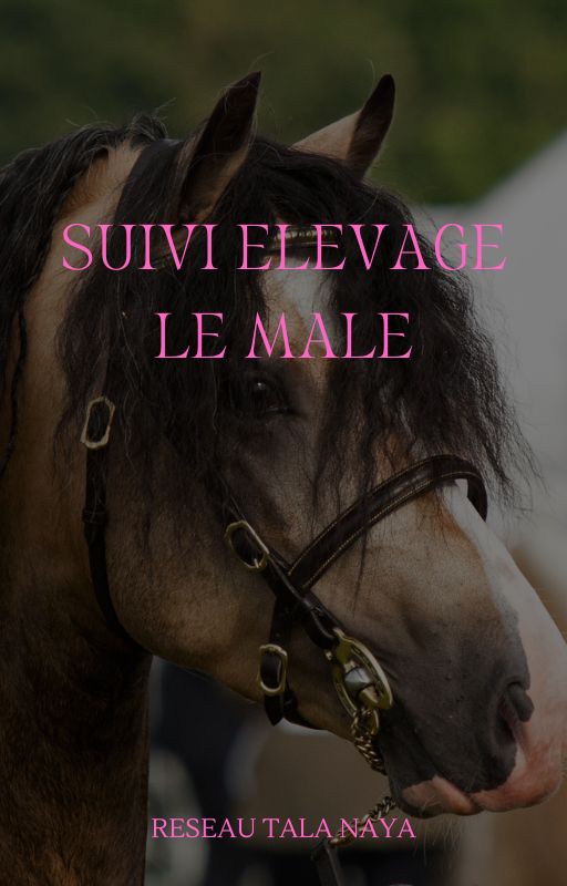 couverture livre e-book sur la formation en magnétisme equin et elevage