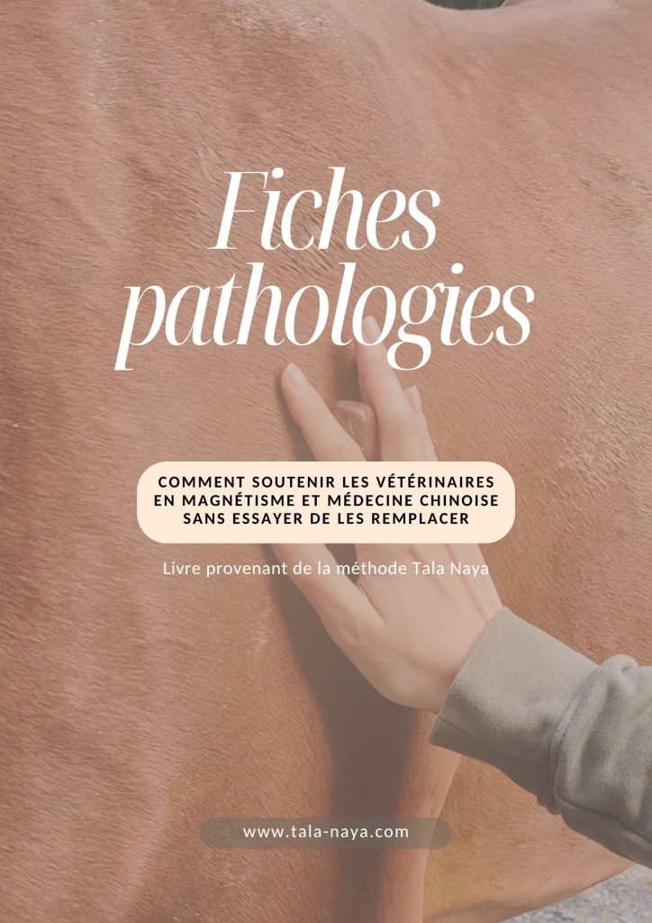 couverture livre e-book sur la formation en magnétisme equin et pathologie