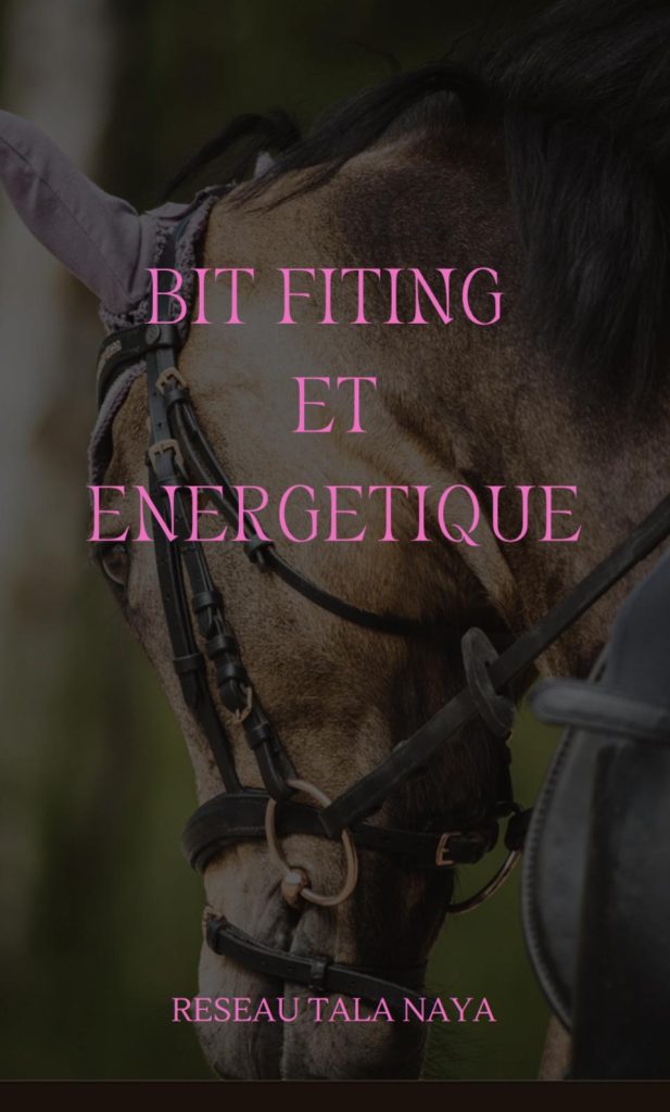 couverture livre e-book sur la formation en magnétisme equin